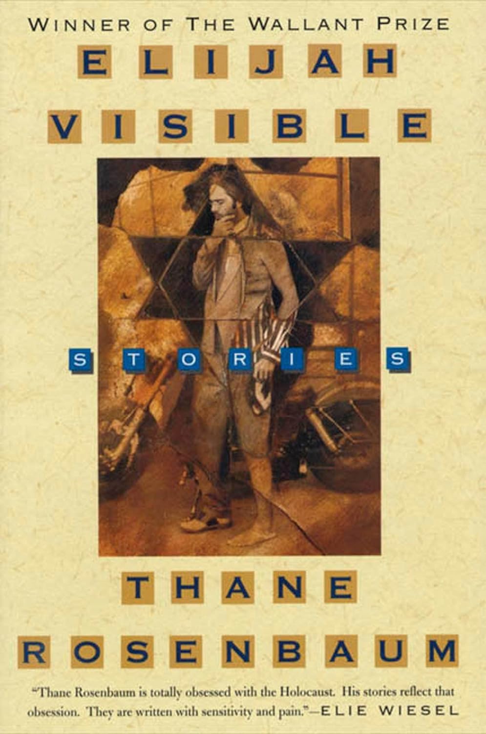 Elijah Visible: Stories by Thane Rosenbaum