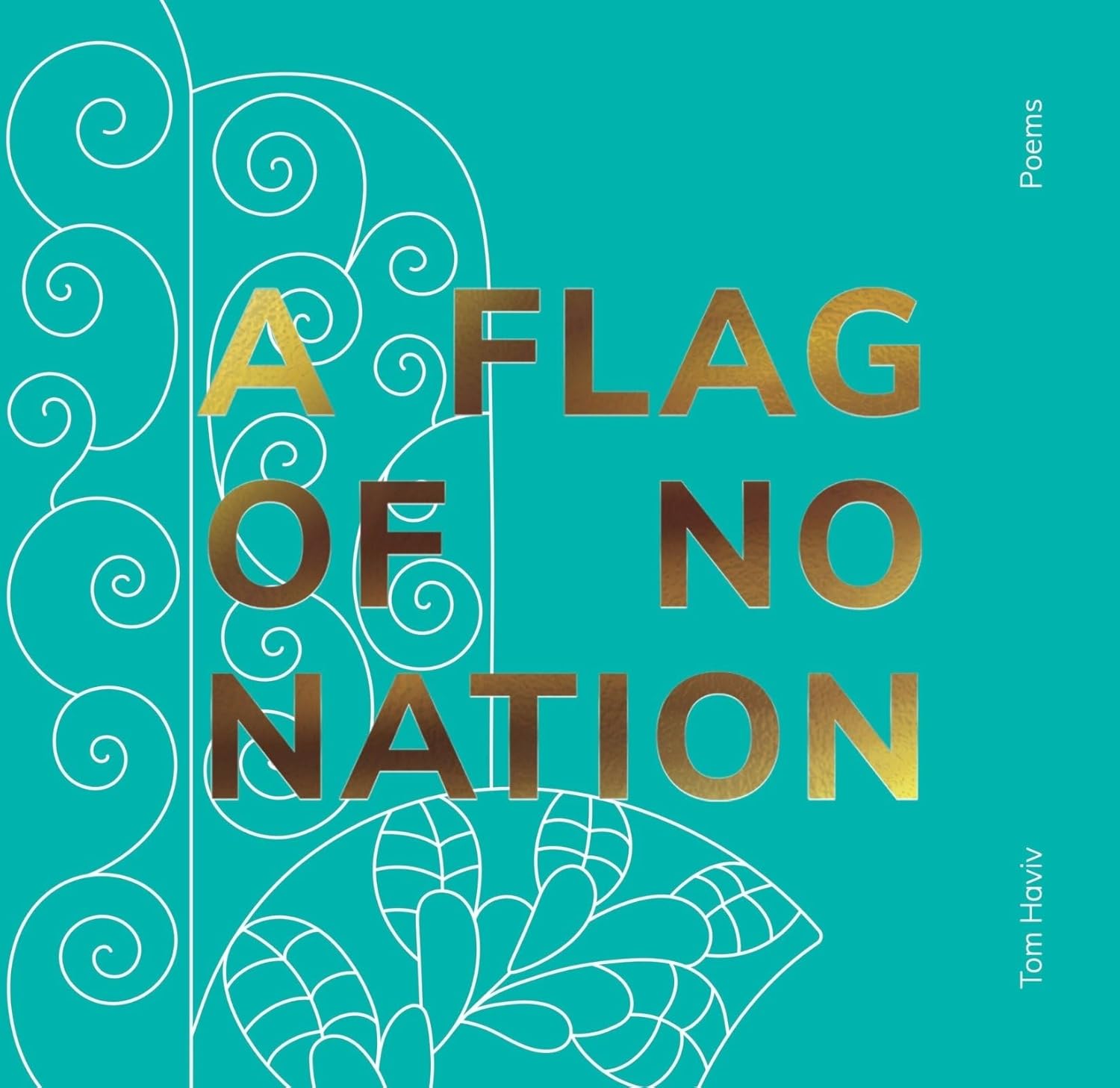 A Flag of No Nation by Tom Haviv