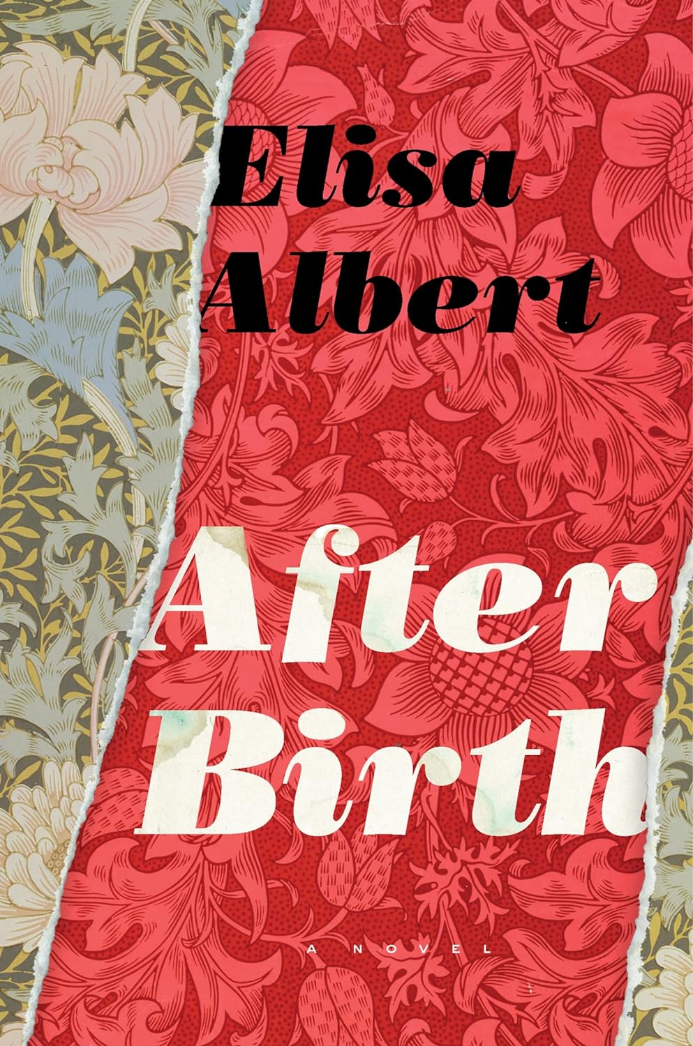 After Birth by Elisa Albert