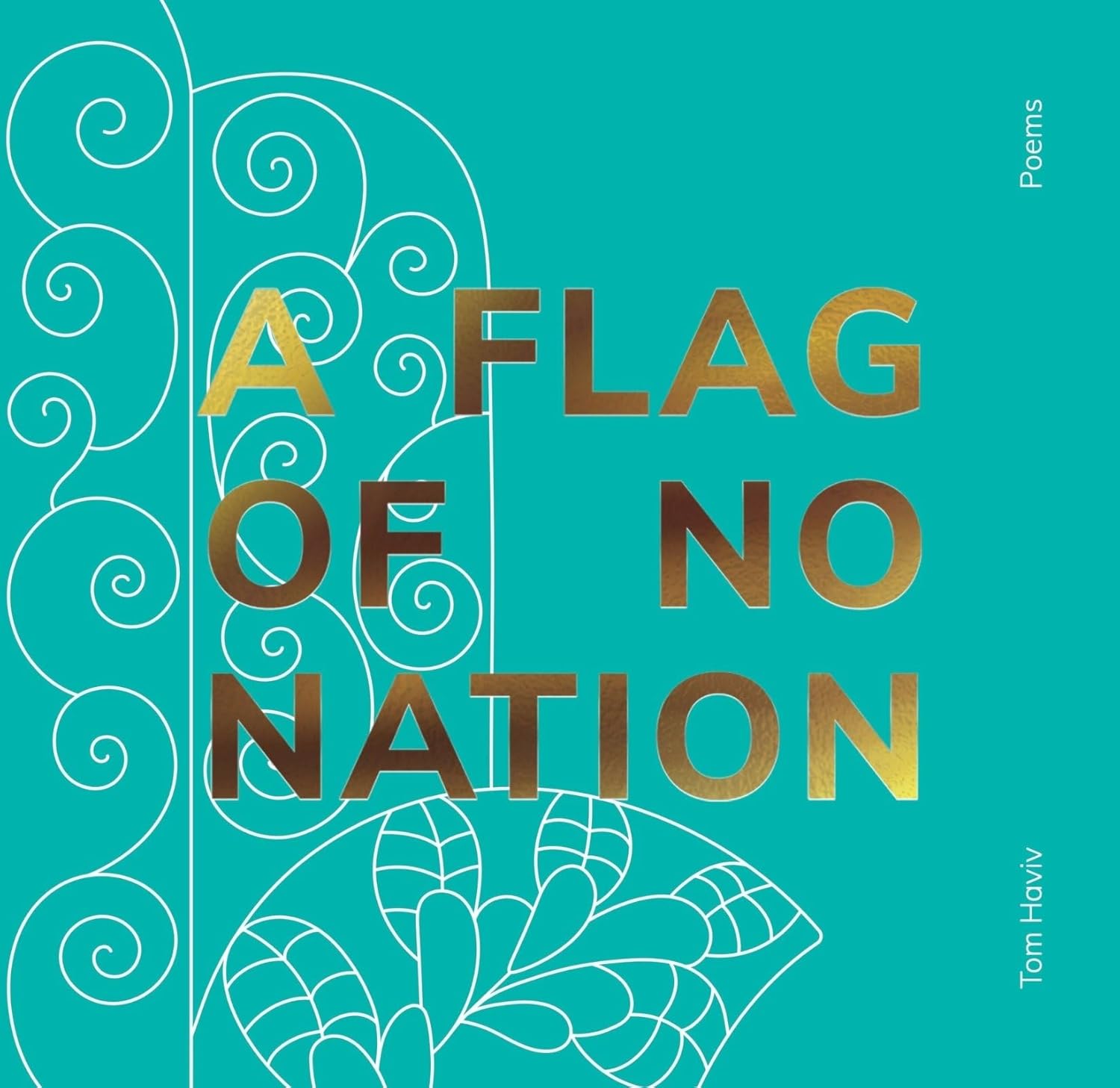 A Flag of No Nation by Tom Haviv