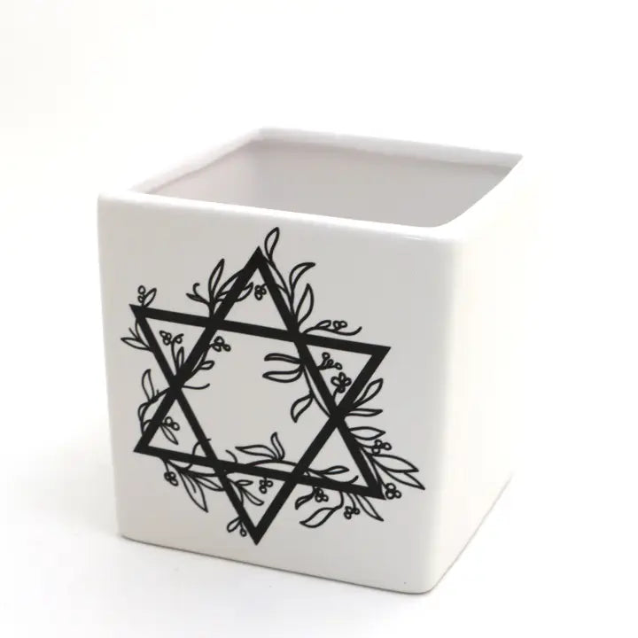 Star of David Planter