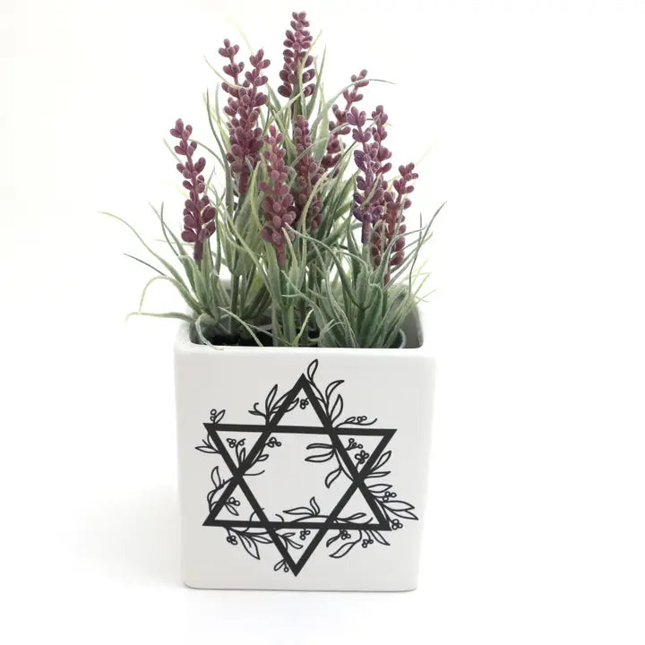 Star of David Planter