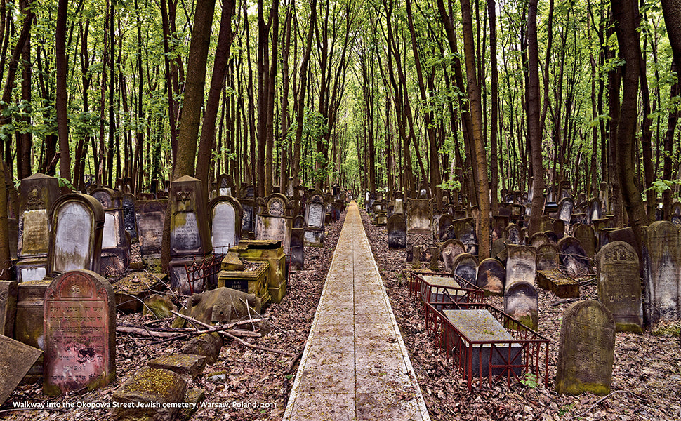 The Posthumous Landscape: Remnants of Jewish Life in Eastern Europe by David Kaufman