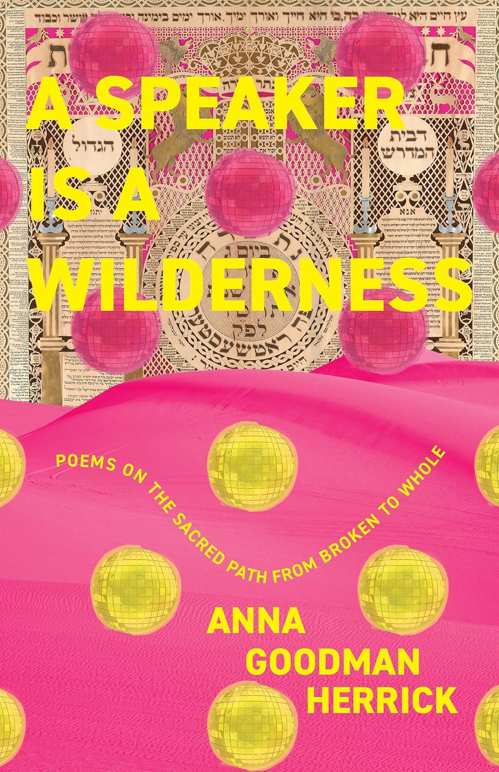 A Speaker is a Wilderness: Poems on the Sacred Path from Broken to Whole by Anna Goodman Herrick